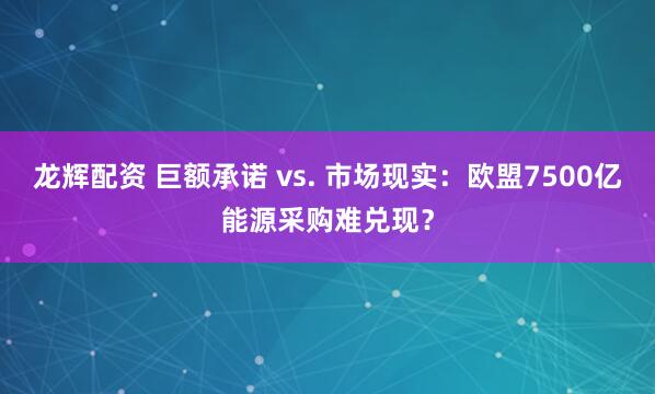 龙辉配资 巨额承诺 vs. 市场现实：欧盟7500亿能源采购难兑现？