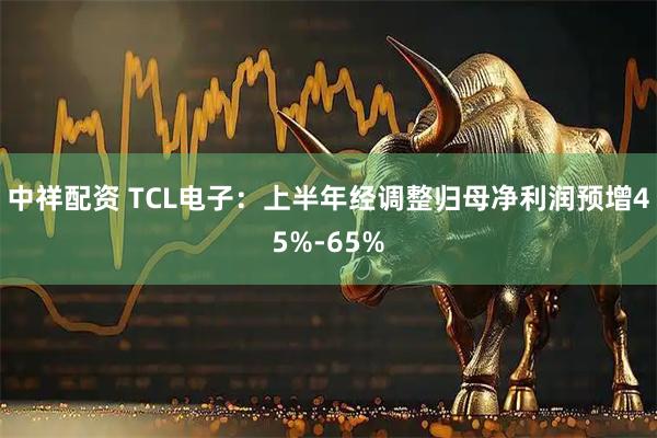 中祥配资 TCL电子：上半年经调整归母净利润预增45%-65%