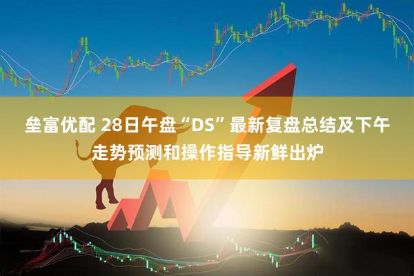 垒富优配 28日午盘“DS”最新复盘总结及下午走势预测和操作指导新鲜出炉